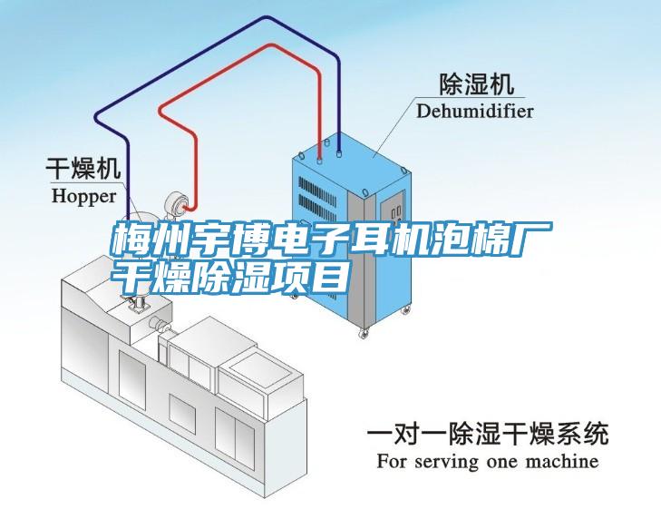 梅州宇博電子耳機(jī)泡棉廠干燥除濕項目