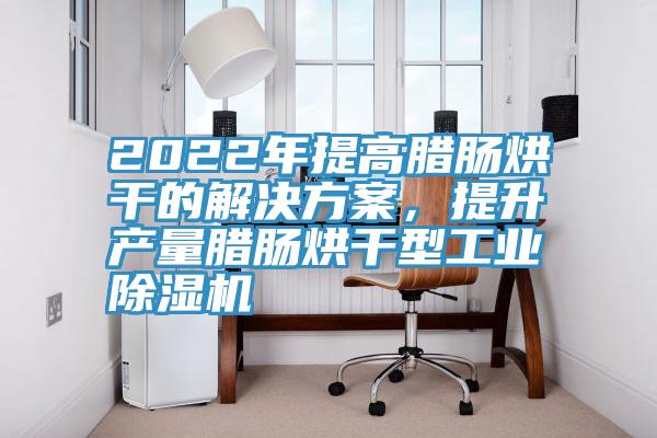 2022年提高臘腸烘干的解決方案，提升產(chǎn)量臘腸烘干型工業(yè)除濕機(jī)