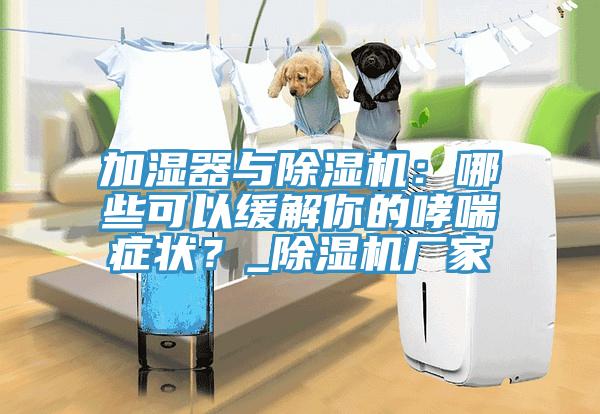 加濕器與除濕機(jī)：哪些可以緩解你的哮喘癥狀？_除濕機(jī)廠家