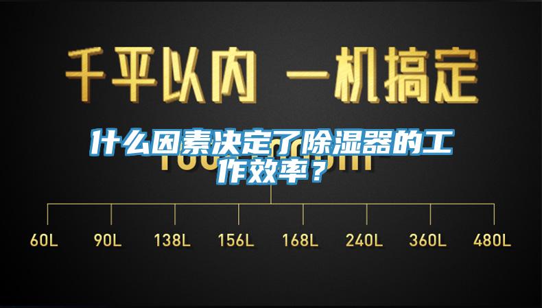 什么因素決定了除濕器的工作效率？