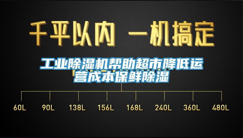 工業(yè)除濕機幫助超市降低運營成本保鮮除濕