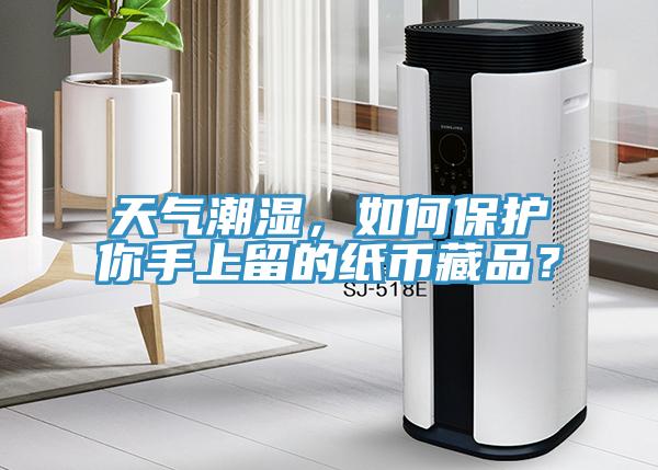 天氣潮濕，如何保護你手上留的紙幣藏品？