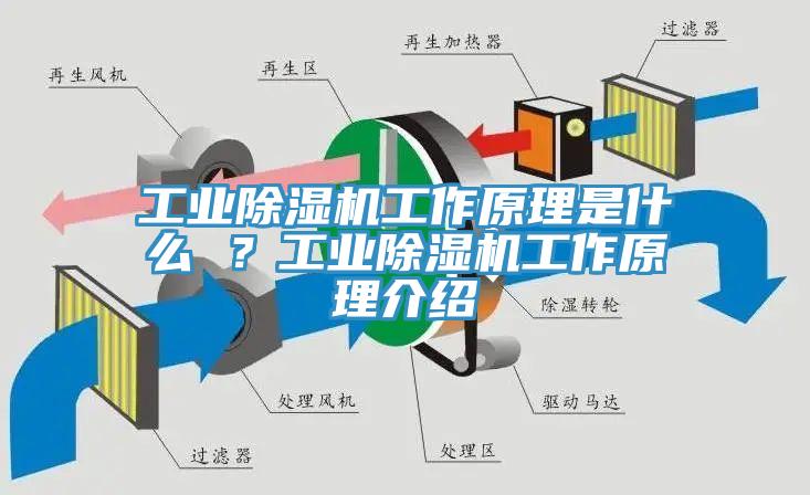 工業(yè)除濕機工作原理是什么 ？工業(yè)除濕機工作原理介紹