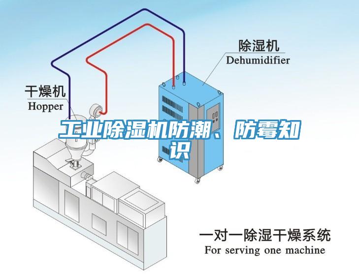 工業(yè)除濕機(jī)防潮、防霉知識