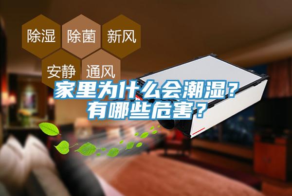 家里為什么會(huì)潮濕？有哪些危害？