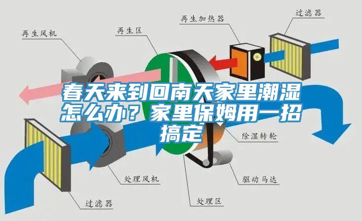 春天來到回南天家里潮濕怎么辦？家里保姆用一招搞定