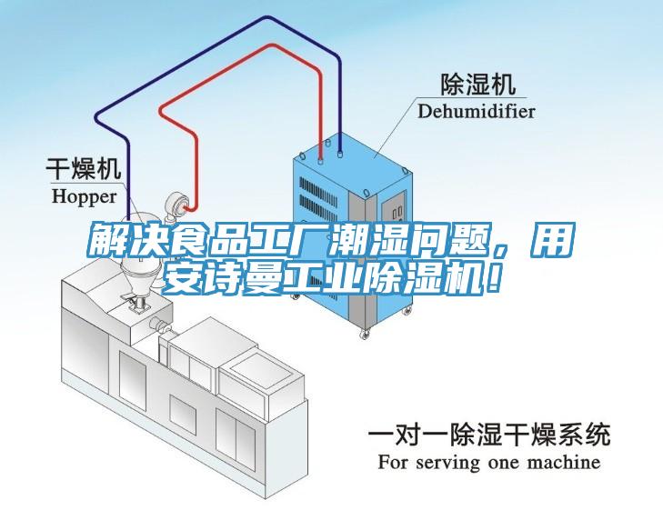 解決食品工廠潮濕問題，用安詩曼工業(yè)除濕機！