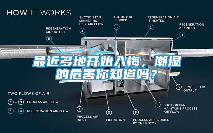 最近多地開始入梅，潮濕的危害你知道嗎？