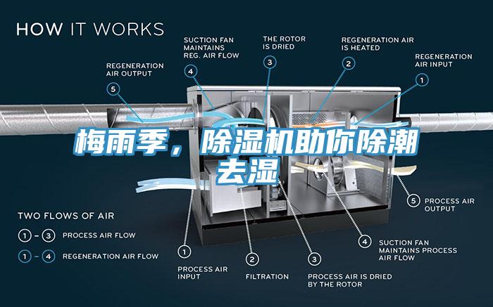 梅雨季，除濕機(jī)助你除潮去濕