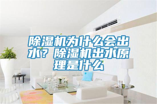 除濕機(jī)為什么會(huì)出水？除濕機(jī)出水原理是什么