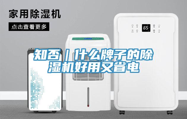 知否｜什么牌子的除濕機(jī)好用又省電