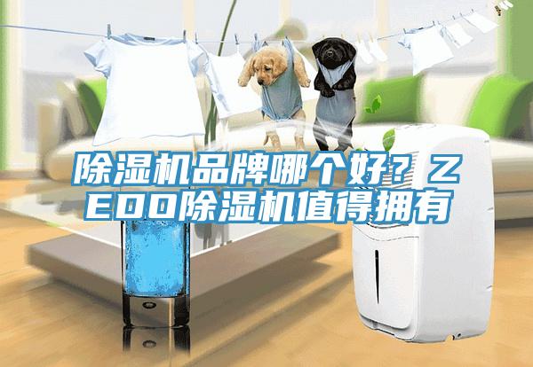 除濕機(jī)品牌哪個(gè)好？ZEDO除濕機(jī)值得擁有