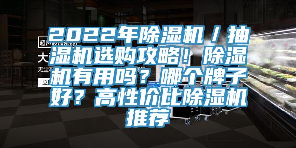 2022年除濕機／抽濕機選購攻略！除濕機有用嗎？哪個牌子好？高性價比除濕機推薦