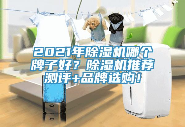 2021年除濕機(jī)哪個(gè)牌子好？除濕機(jī)推薦測(cè)評(píng)+品牌選購(gòu)！