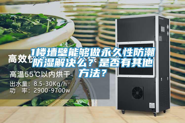 1樓墻壁能夠做永久性防潮防濕解決么？是否有其他方法？