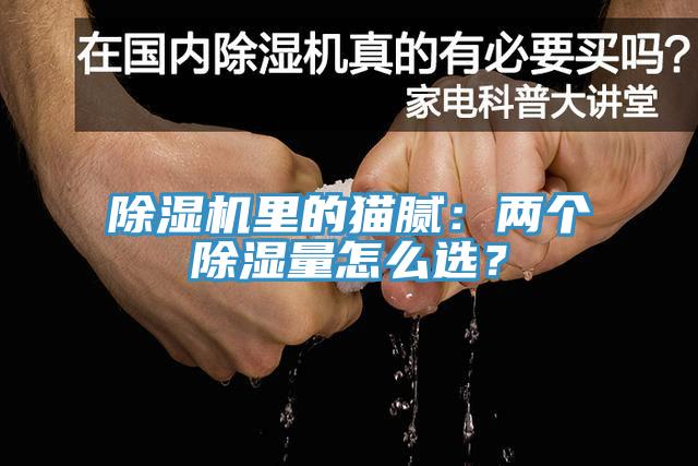 除濕機(jī)里的貓膩：兩個(gè)除濕量怎么選？