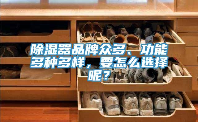 除濕器品牌眾多、功能多種多樣，要怎么選擇呢？