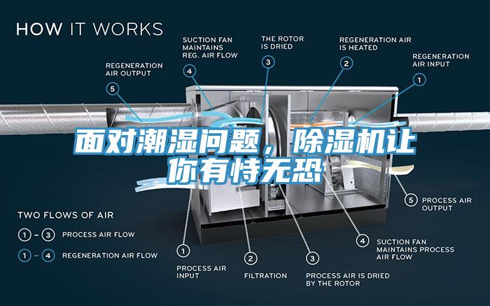 面對(duì)潮濕問題，除濕機(jī)讓你有恃無恐