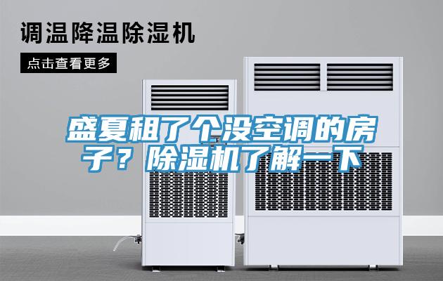 盛夏租了個(gè)沒空調(diào)的房子？除濕機(jī)了解一下