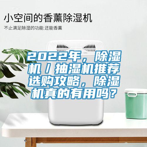 2022年，除濕機／抽濕機推薦選購攻略，除濕機真的有用嗎？