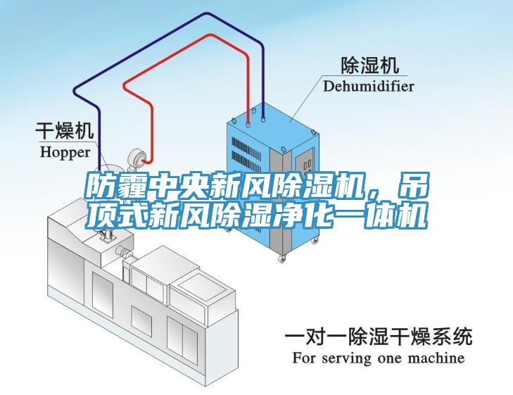 防霾中央新風(fēng)除濕機(jī)，吊頂式新風(fēng)除濕凈化一體機(jī)