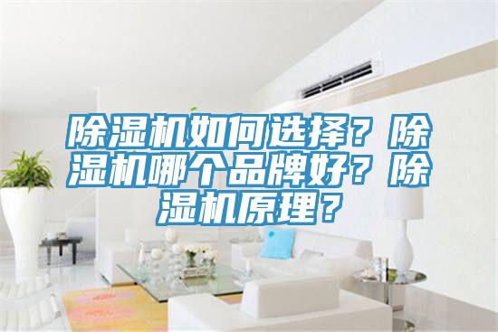 除濕機如何選擇？除濕機哪個品牌好？除濕機原理？