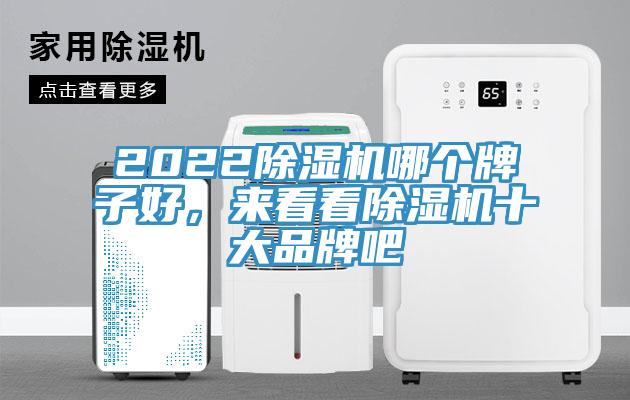 2022除濕機哪個牌子好，來看看除濕機十大品牌吧