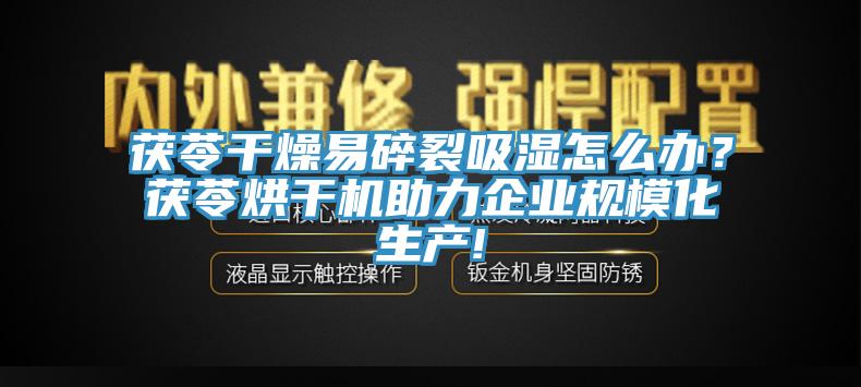 茯苓干燥易碎裂吸濕怎么辦？茯苓烘干機助力企業(yè)規(guī)?；a(chǎn)!