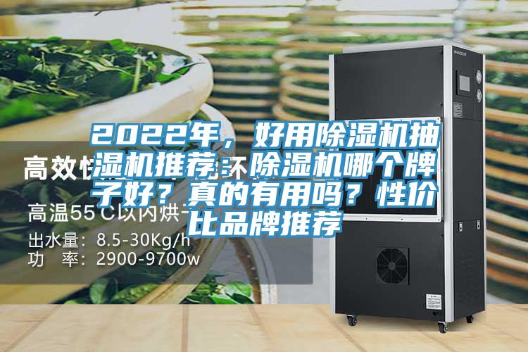 2022年，好用除濕機抽濕機推薦：除濕機哪個牌子好？真的有用嗎？性價比品牌推薦