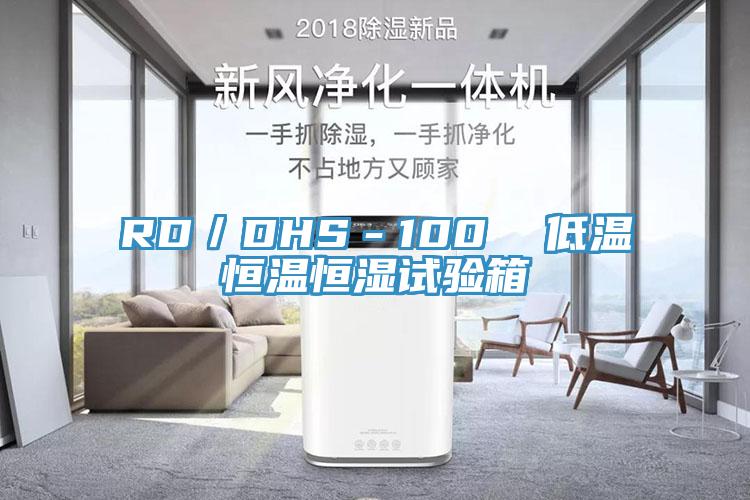 RD／DHS－100  低溫恒溫恒濕試驗(yàn)箱