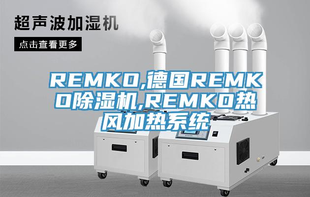 REMKO,德國(guó)REMKO除濕機(jī),REMKO熱風(fēng)加熱系統(tǒng)