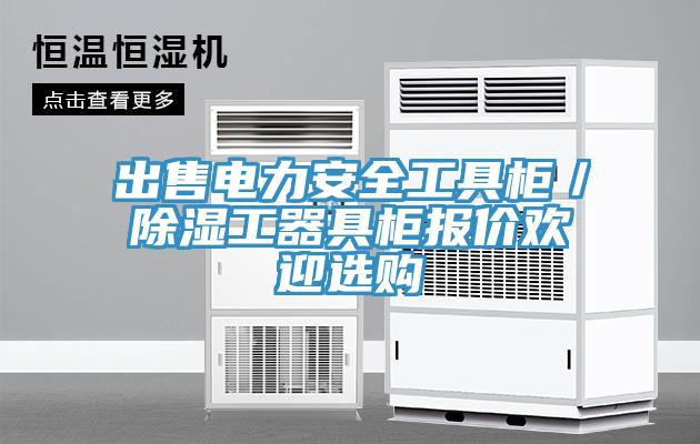 出售電力安全工具柜／除濕工器具柜報(bào)價(jià)歡迎選購