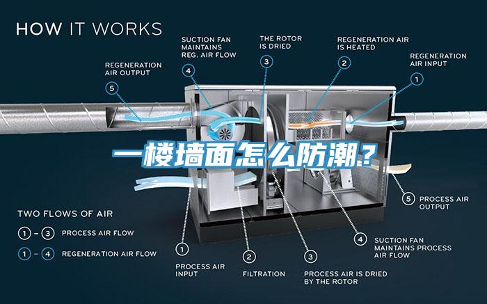 一樓墻面怎么防潮？