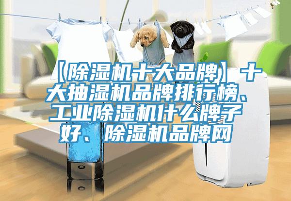 【除濕機十大品牌】十大抽濕機品牌排行榜、工業(yè)除濕機什么牌子好、除濕機品牌網(wǎng)