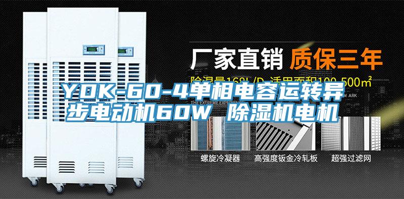 YDK-60-4單相電容運轉(zhuǎn)異步電動機60W 除濕機電機