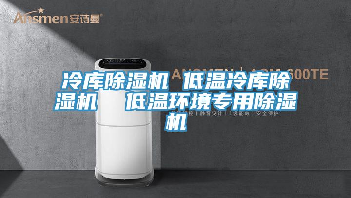 冷庫除濕機 低溫冷庫除濕機  低溫環(huán)境專用除濕機