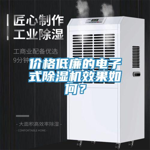 價格低廉的電子式除濕機效果如何？