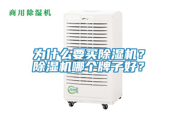 為什么要買除濕機(jī)？除濕機(jī)哪個牌子好？