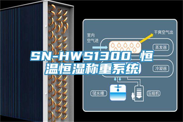 SN-HWS1300 恒溫恒濕稱(chēng)重系統(tǒng)