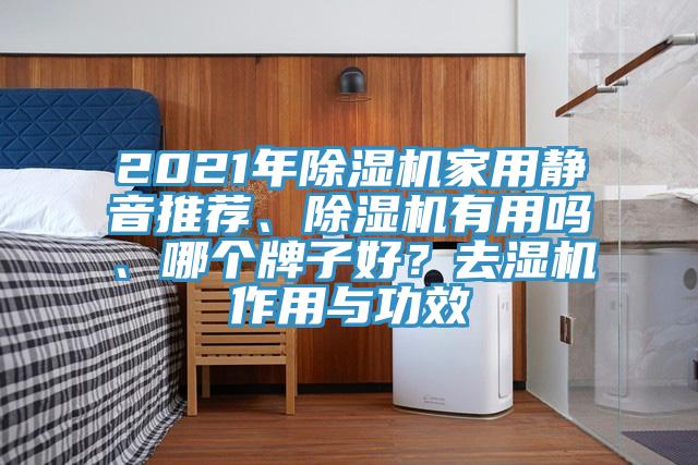 2021年除濕機家用靜音推薦、除濕機有用嗎、哪個牌子好？去濕機作用與功效