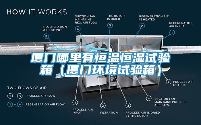 廈門哪里有恒溫恒濕試驗(yàn)箱（廈門環(huán)境試驗(yàn)箱）