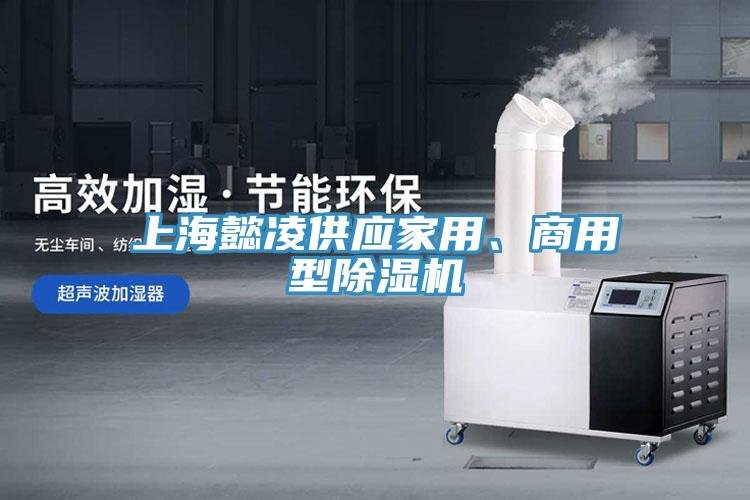 上海懿凌供應(yīng)家用、商用型除濕機