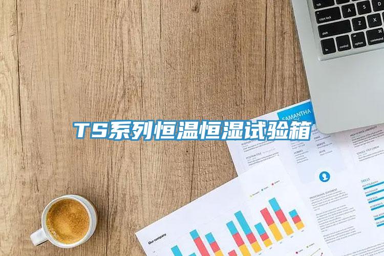 TS系列恒溫恒濕試驗(yàn)箱