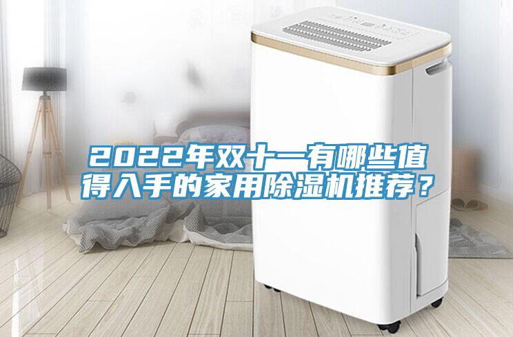 2022年雙十一有哪些值得入手的家用除濕機推薦？