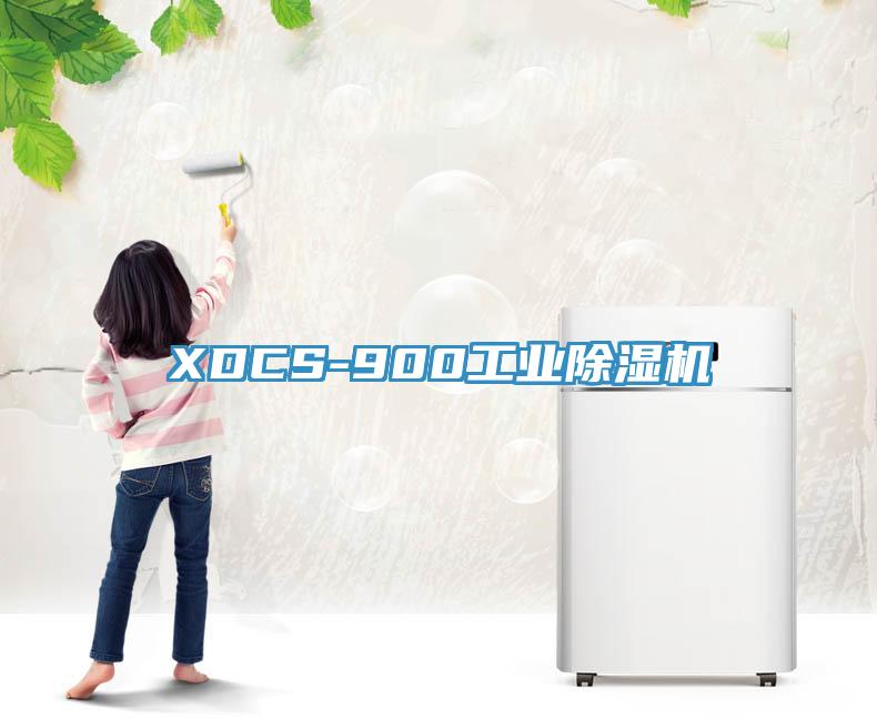 XDCS-900工業(yè)除濕機