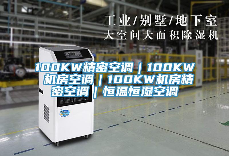 100KW精密空調(diào)｜100KW 機房空調(diào)｜100KW機房精密空調(diào)｜恒溫恒濕空調(diào)