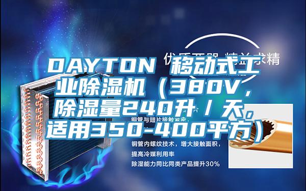 DAYTON 移動(dòng)式工業(yè)除濕機(jī)（380V，除濕量240升／天，適用350-400平方）