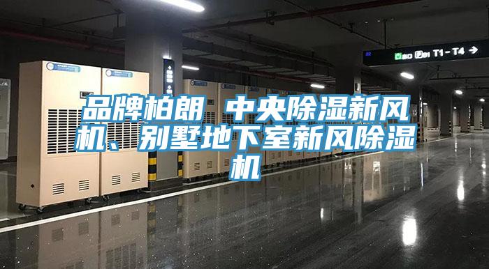 品牌柏朗 中央除濕新風機、別墅地下室新風除濕機