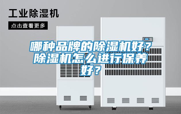 哪種品牌的除濕機好？除濕機怎么進行保養(yǎng)好？