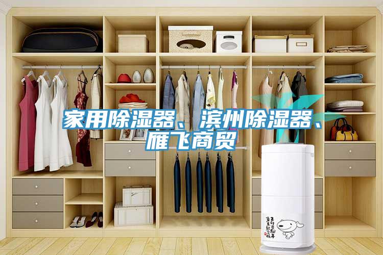 家用除濕器、濱州除濕器、雁飛商貿(mào)